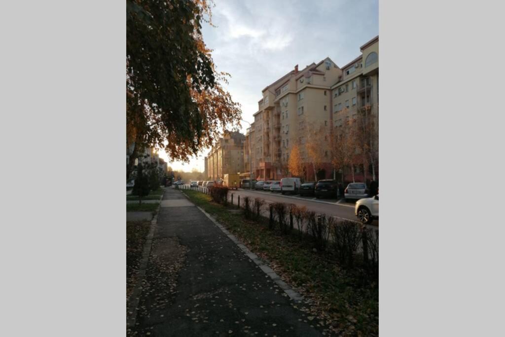 Oasis Felix Apartment Belgrad Exterior foto